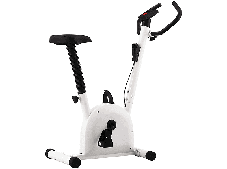 Bicicleta estática  VIDAXL 209295936 Inox 